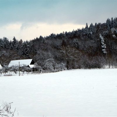 Fot. Basia
